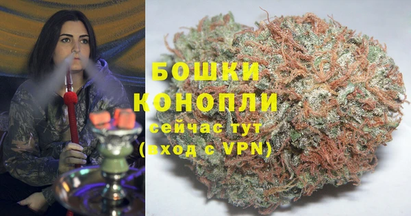 ПСИЛОЦИБИНОВЫЕ ГРИБЫ Бородино