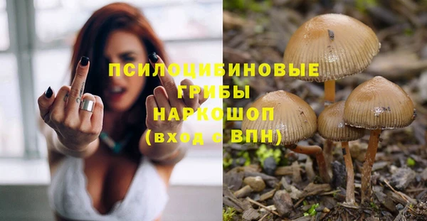 бошки Покачи