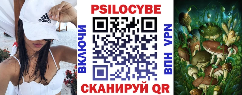как найти закладки  Давлеканово  Псилоцибиновые грибы Psilocybe 